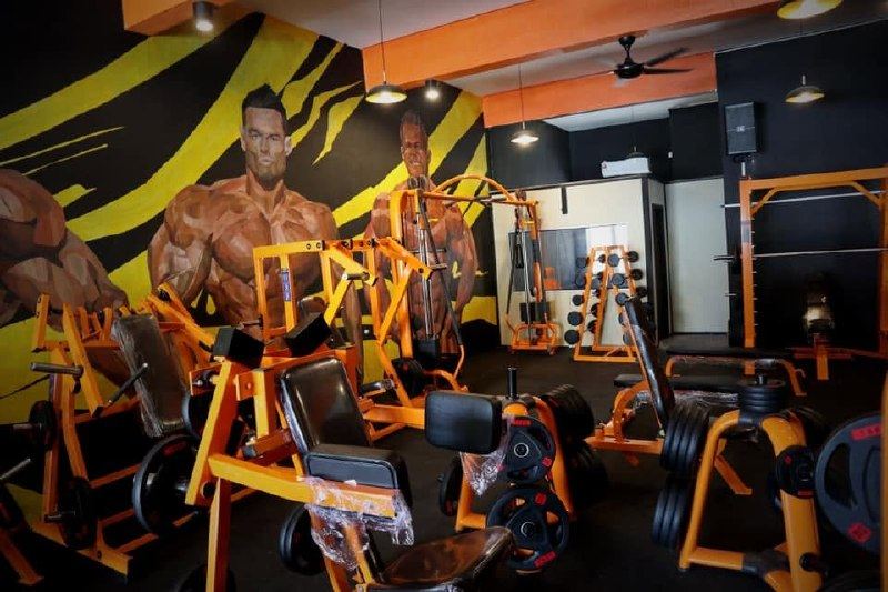 RTB Gym