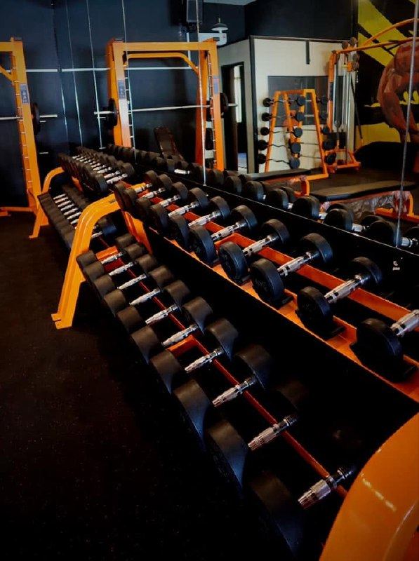 RTB Gym